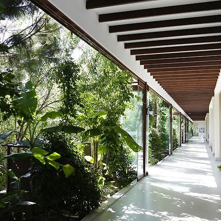 The Lifeco Bodrum Well-Being Detox Center And Vegan Hotel (Adults Only) Golturkbuku Zewnętrze zdjęcie