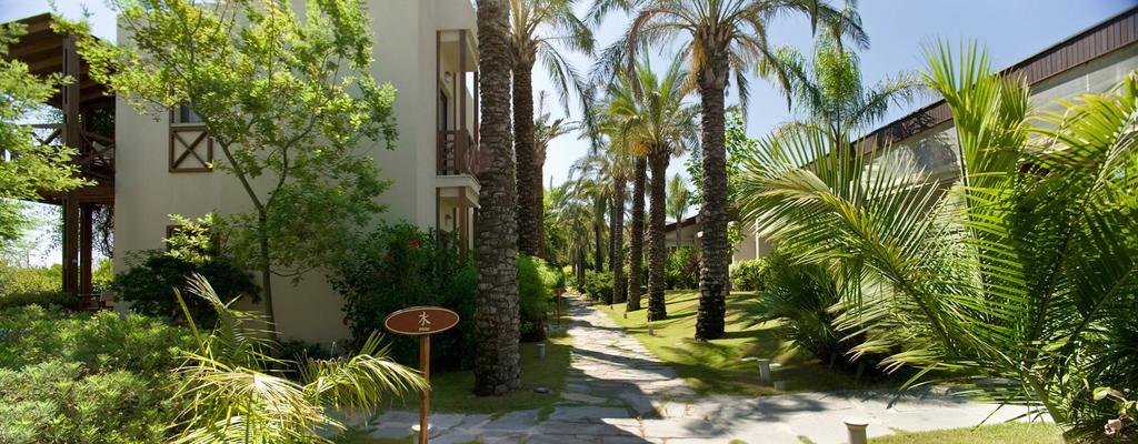 The Lifeco Bodrum Well-Being Detox Center And Vegan Hotel (Adults Only) Golturkbuku Zewnętrze zdjęcie