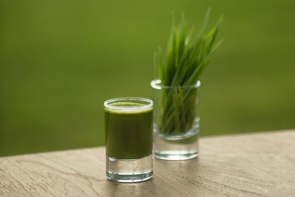 The Lifeco Bodrum Well-Being Detox Center And Vegan Hotel (Adults Only) Golturkbuku Pokój zdjęcie