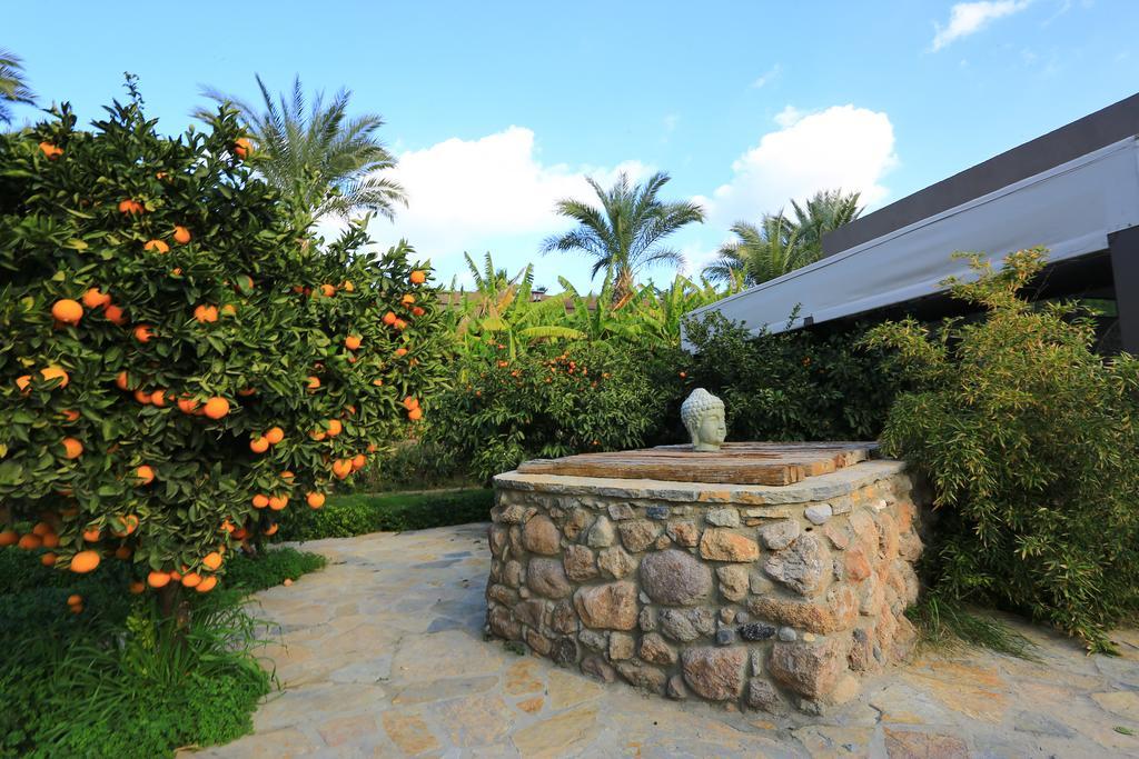 The Lifeco Bodrum Well-Being Detox Center And Vegan Hotel (Adults Only) Golturkbuku Zewnętrze zdjęcie
